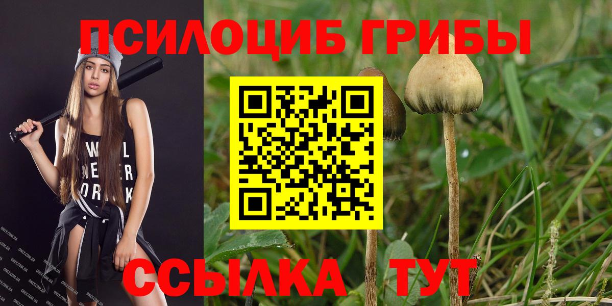 Псилоцибиновые грибы прущие грибы  Вход с VPN  закладка  Псилоцибиновые грибы мицелий  Екатеринбург 